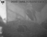 Capi_Dubne_20250514_213002.jpg