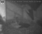 Capi_Dubne_20250514_225503.jpg