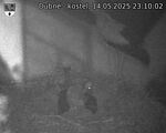 Capi_Dubne_20250514_231002.jpg