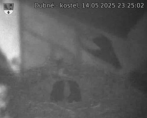 Capi_Dubne_20250514_232502.jpg (1350 x 1080)