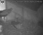 Capi_Dubne_20250514_234502.jpg