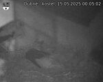 Capi_Dubne_20250515_000502.jpg