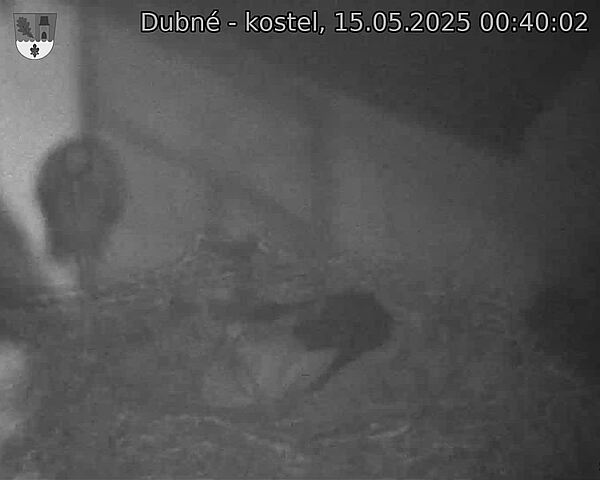 Capi_Dubne_20250515_004002.jpg (1350 x 1080)