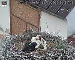 Capi_Dubne_20250515_121503.jpg
