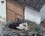 Capi_Dubne_20250515_133502.jpg