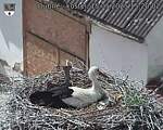 Capi_Dubne_20250515_152002.jpg