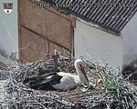 Capi_Dubne_20250515_155502.jpg