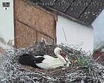 Capi_Dubne_20250515_162503.jpg