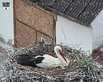 Capi_Dubne_20250515_164003.jpg