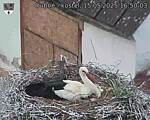 Capi_Dubne_20250515_165003.jpg