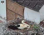 Capi_Dubne_20250515_190503.jpg