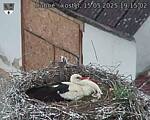 Capi_Dubne_20250515_191502.jpg