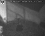 Capi_Dubne_20250515_225002.jpg