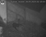 Capi_Dubne_20250516_021003.jpg