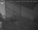 Capi_Dubne_20250516_025002.jpg