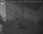 Capi_Dubne_20250516_031502.jpg