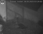 Capi_Dubne_20250516_032002.jpg