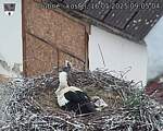 Capi_Dubne_20250516_090504.jpg