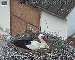 Capi_Dubne_20250516_101502.jpg