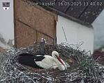 Capi_Dubne_20250516_134002.jpg