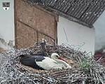Capi_Dubne_20250516_140503.jpg