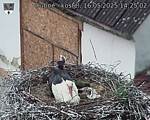 Capi_Dubne_20250516_142502.jpg