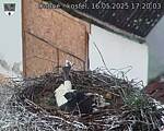 Capi_Dubne_20250516_172004.jpg
