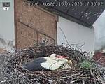 Capi_Dubne_20250516_175502.jpg