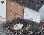 Capi_Dubne_20250516_185003.jpg