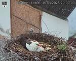 Capi_Dubne_20250516_200003.jpg