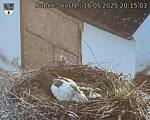 Capi_Dubne_20250516_201503.jpg