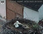 Capi_Dubne_20250516_205503.jpg