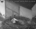 Capi_Dubne_20250516_211002.jpg