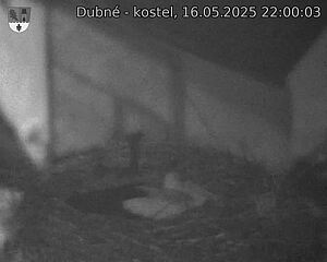 Capi_Dubne_20250516_220003.jpg (1350 x 1080)
