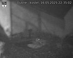 Capi_Dubne_20250516_223502.jpg