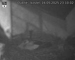 Capi_Dubne_20250516_231002.jpg