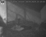 Capi_Dubne_20250516_231503.jpg