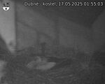 Capi_Dubne_20250517_015503.jpg