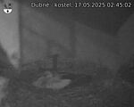 Capi_Dubne_20250517_024502.jpg