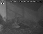Capi_Dubne_20250517_033502.jpg