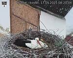 Capi_Dubne_20250517_082004.jpg