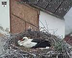 Capi_Dubne_20250517_142502.jpg