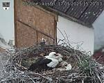 Capi_Dubne_20250517_152003.jpg
