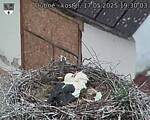 Capi_Dubne_20250517_193003.jpg