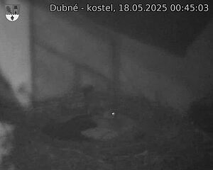 Capi_Dubne_20250518_004503.jpg (1350 x 1080)