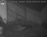 Capi_Dubne_20250518_011002.jpg