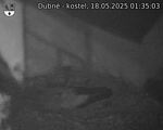Capi_Dubne_20250518_013503.jpg