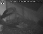 Capi_Dubne_20250518_022502.jpg