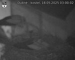 Capi_Dubne_20250518_030002.jpg