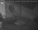 Capi_Dubne_20250518_034502.jpg